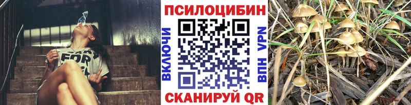 наркошоп  Оса  МЕГА ссылки  Галлюциногенные грибы прущие грибы 